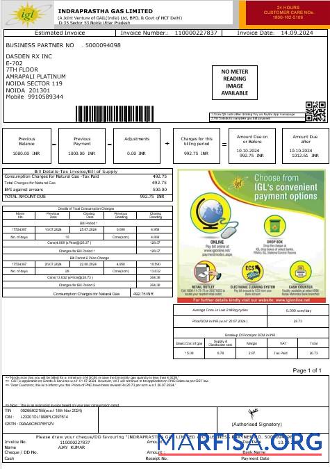 Downloadable India IGL business utility bill Word and PDF template